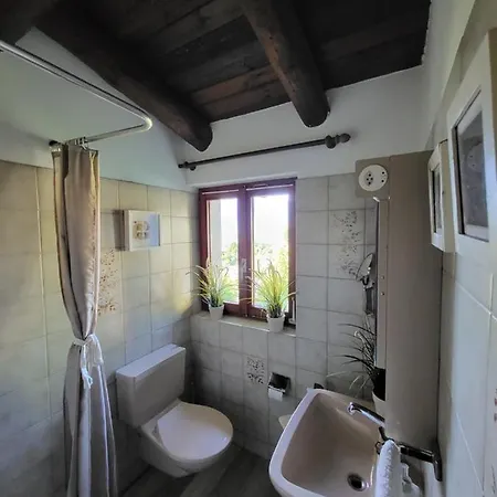 Duplex Rustico Nel Gerra (Locarno)